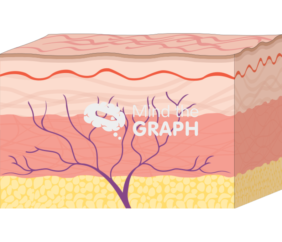 Skin layers acupunture Icons, Symbols, Pictures, and Images