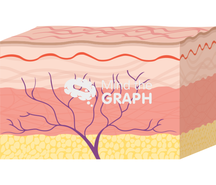 Skin layers acupunture Icons, Symbols, Pictures, and Images