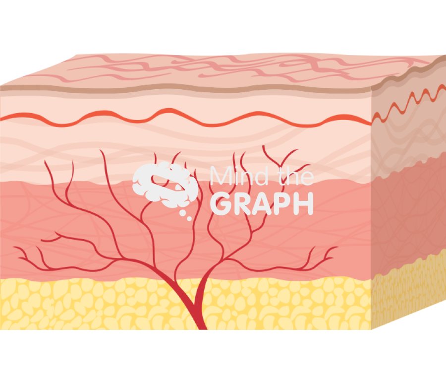 Skin layers acupunture 2 Icons, Symbols, Pictures, and Images
