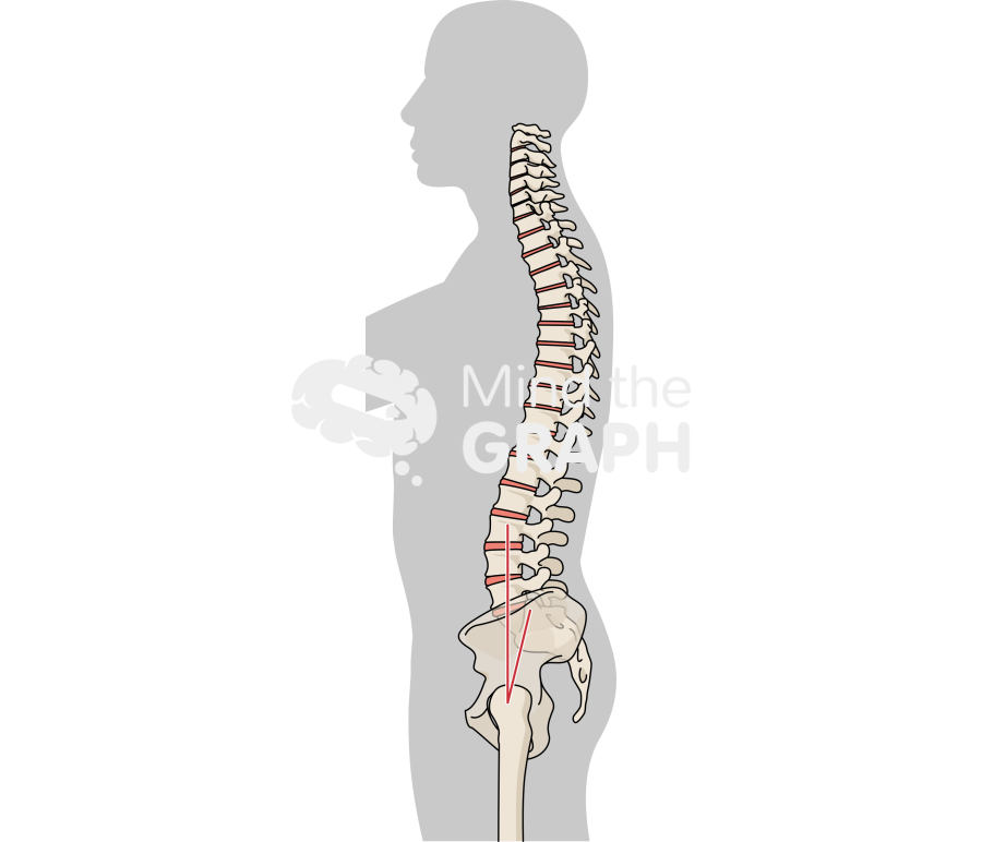 Skin patch test normal body mass index standing bone Icons, Symbols, Pictures, and Images