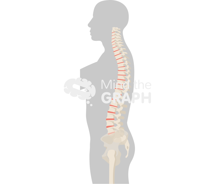 Skin patch test normal body mass index standing bone Icons, Symbols, Pictures, and Images