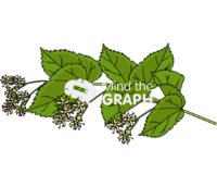 Small leaved lime Icons, Symbols, Pictures, and Images