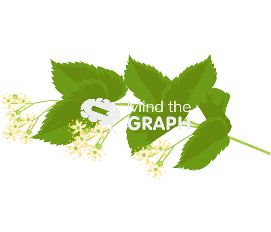 Small leaved lime Icons, Symbols, Pictures, and Images