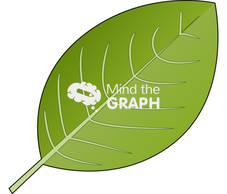 Smooth leaf Icons, Symbols, Pictures, and Images