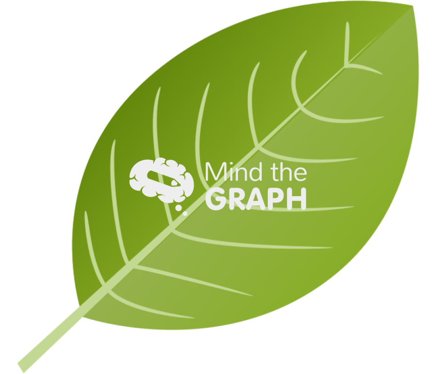 Smooth leaf Icons, Symbols, Pictures, and Images