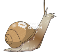 Snail Icons, Symbols, Pictures, and Images