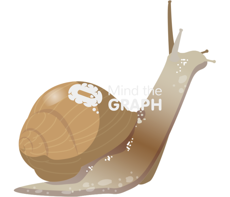 Snail Icons, Symbols, Pictures, and Images