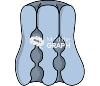 Sodium potassium pump 1 Icons, Symbols, Pictures, and Images