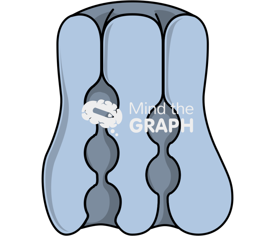 Sodium potassium pump 1 Icons, Symbols, Pictures, and Images