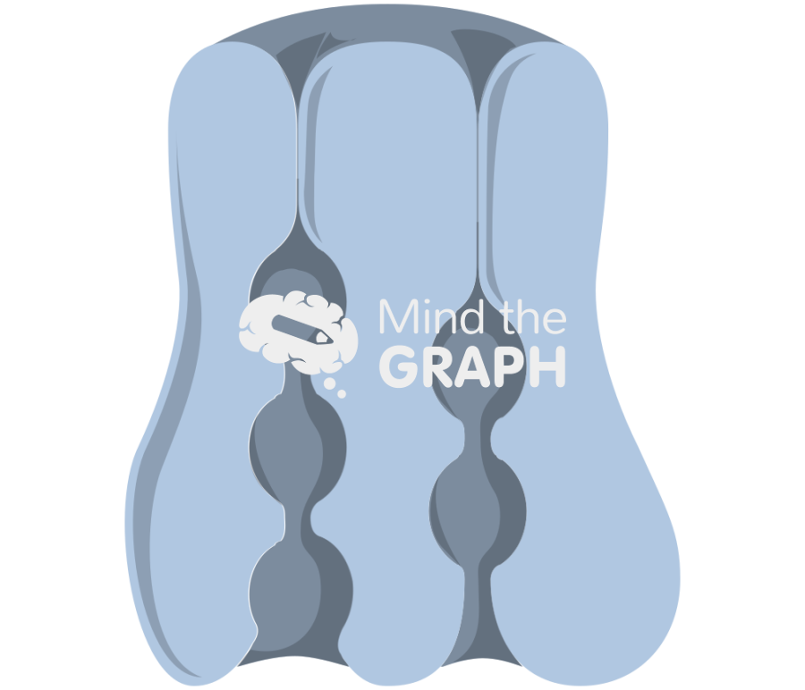 Sodium potassium pump 1 Icons, Symbols, Pictures, and Images