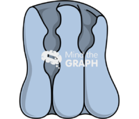 Sodium potassium pump 2 Icons, Symbols, Pictures, and Images