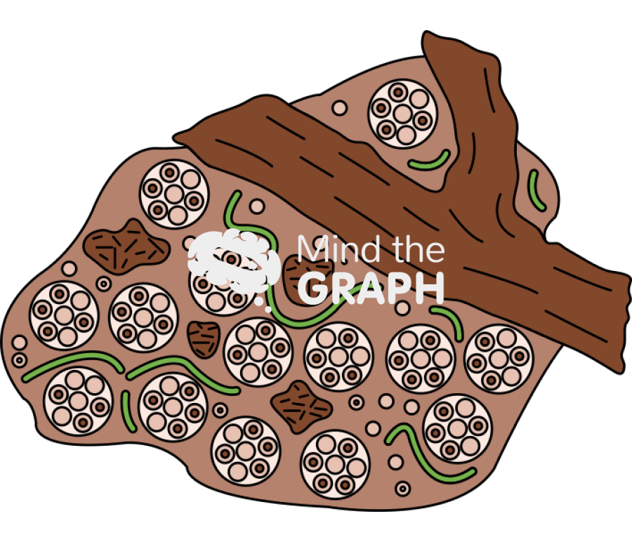 Soil macroaggregate Icons, Symbols, Pictures, and Images