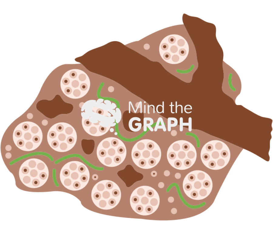 Soil macroaggregate Icons, Symbols, Pictures, and Images