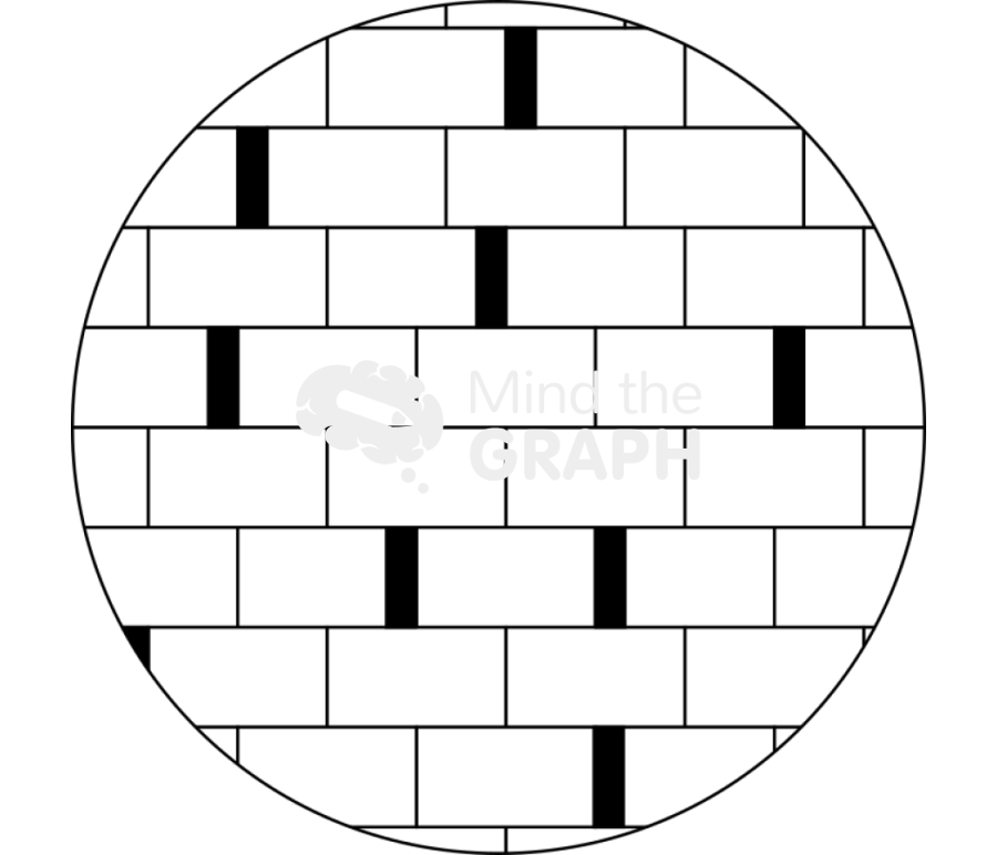 Solid lipid nanoparticle sln Icons, Symbols, Pictures, and Images