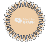 Solid lipid nanoparticle type1 Icons, Symbols, Pictures, and Images