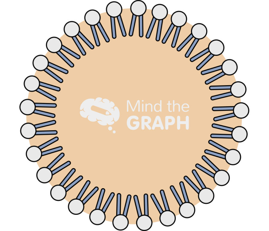 Solid lipid nanoparticle type1 Icons, Symbols, Pictures, and Images