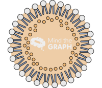 Solid lipid nanoparticle type2 - Edit and Customize Icons of Solid lipid nanoparticle type2 Solid lipid nanoparticle type2 Icons, Symbols, Pictures, and Images