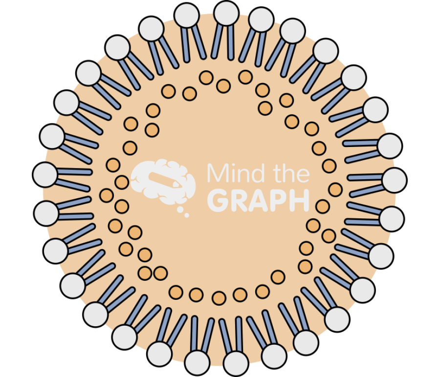 Solid lipid nanoparticle type2 Icons, Symbols, Pictures, and Images