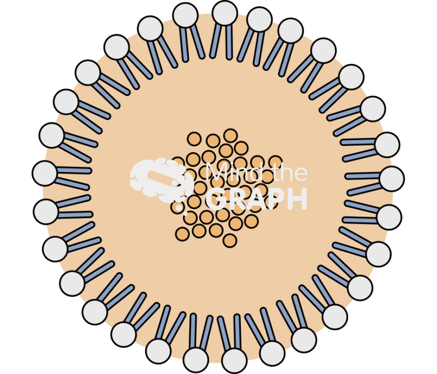 Solid lipid nanoparticle type3 Icons, Symbols, Pictures, and Images