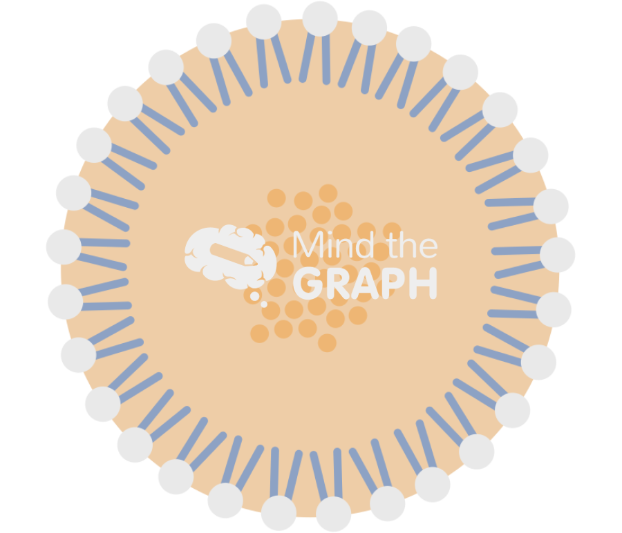 Solid lipid nanoparticle type3 Icons, Symbols, Pictures, and Images