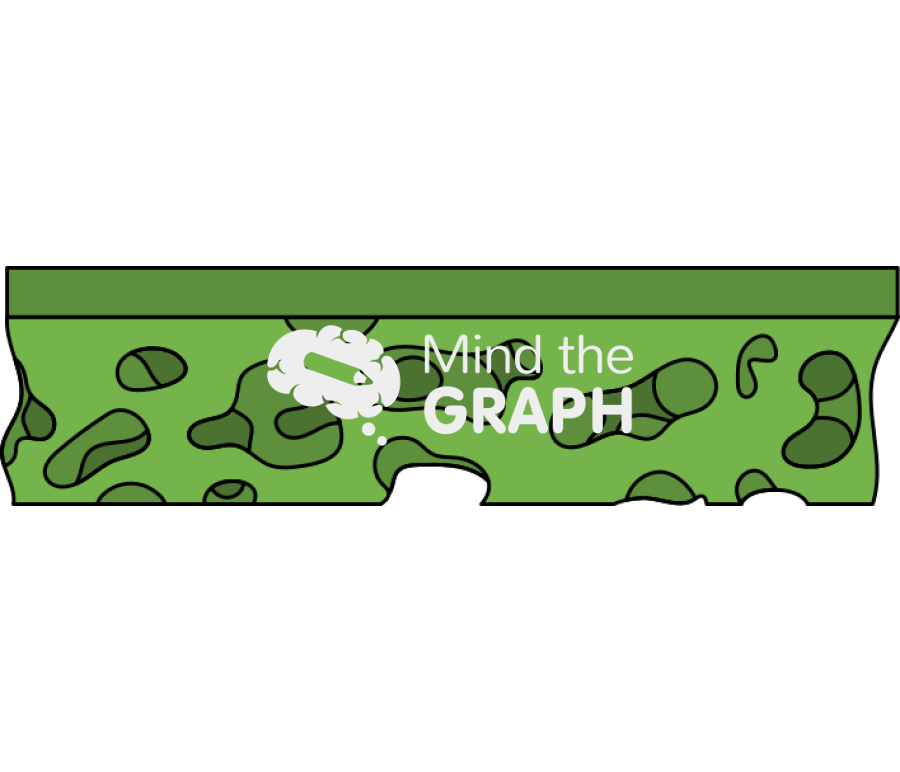 Solvent separation membrane Icons, Symbols, Pictures, and Images