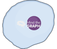 Somatic Icons, Symbols, Pictures, and Images