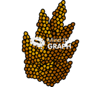 Sorghum grains Icons, Symbols, Pictures, and Images