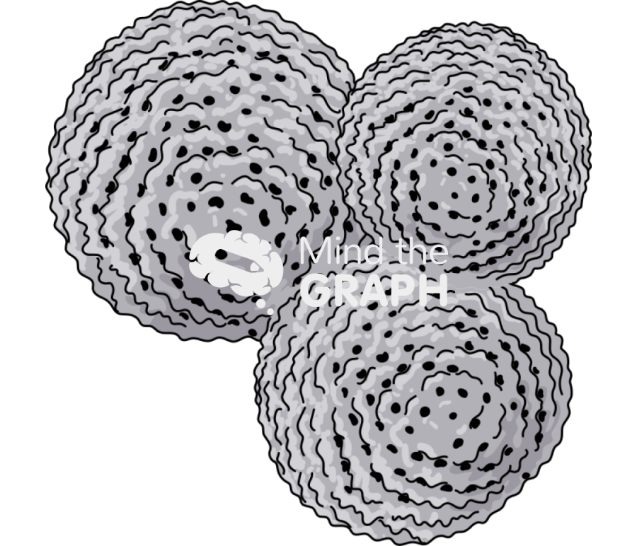 Sorosphaera foraminifera detailed Icons, Symbols, Pictures, and Images