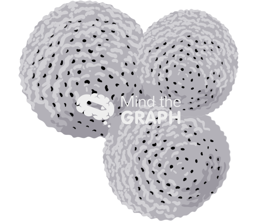 Sorosphaera foraminifera detailed Icons, Symbols, Pictures, and Images