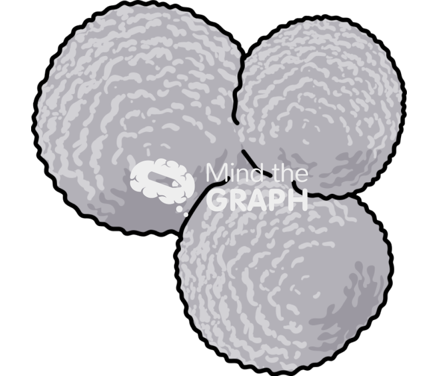Sorosphaera foraminifera simple Icons, Symbols, Pictures, and Images