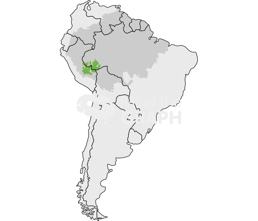 South america bamboo dominated forest Icons, Symbols, Pictures, and Images