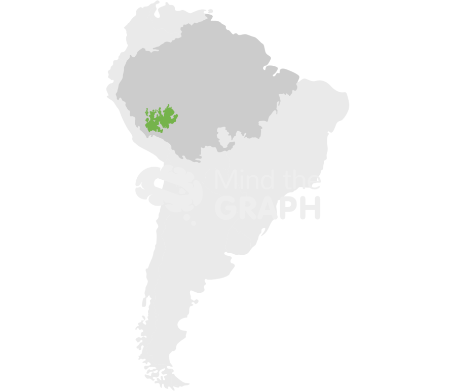 South america bamboo dominated forest Icons, Symbols, Pictures, and Images