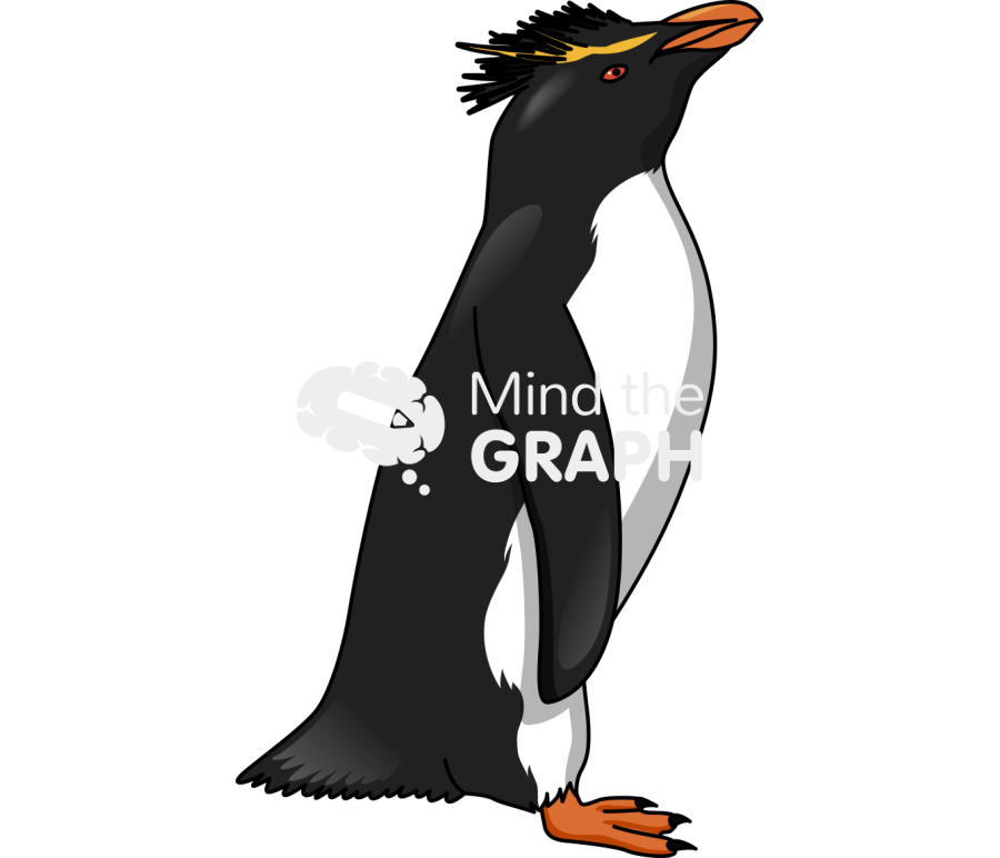 Southern rockhopper penguin eudyptes chrysocome Icons, Symbols, Pictures, and Images