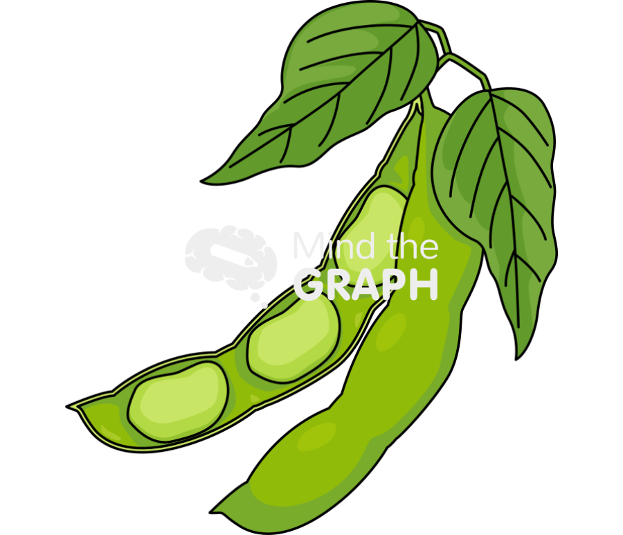 Soybean pod Icons, Symbols, Pictures, and Images