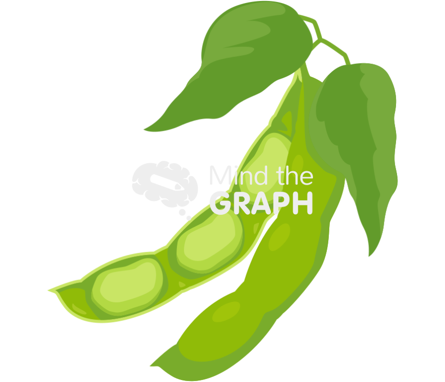 Soybean pod Icons, Symbols, Pictures, and Images