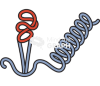 Sp c biomembrane Icons, Symbols, Pictures, and Images