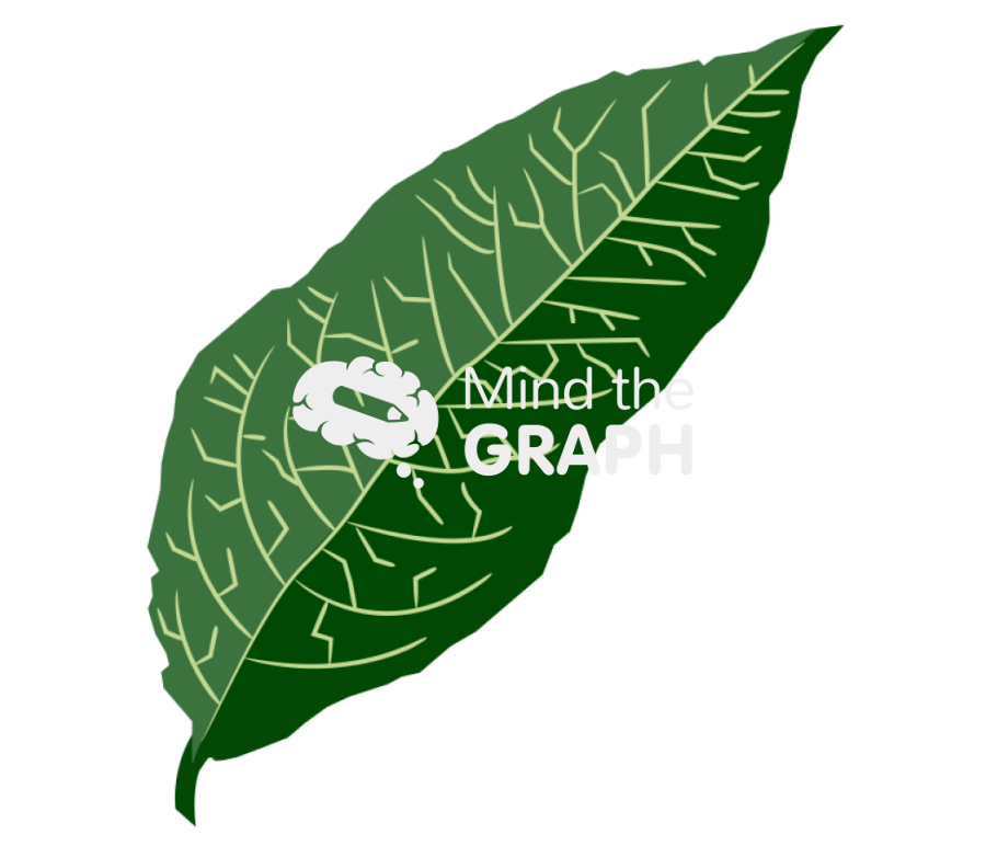 Spear shaped leaf Icons, Symbols, Pictures, and Images