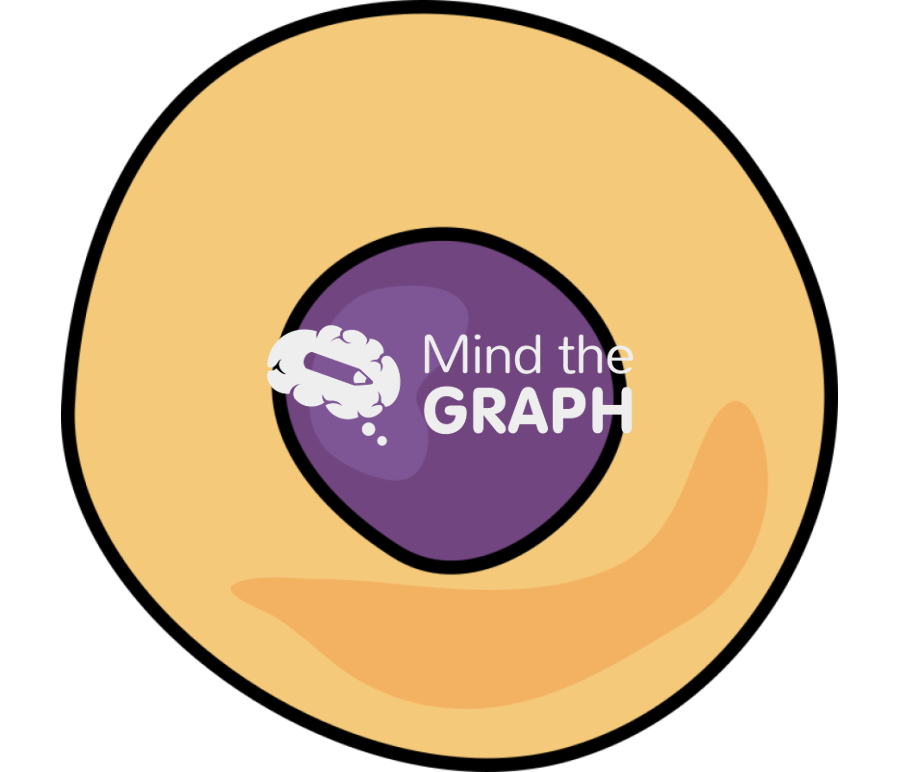 Spermatogenesis 1 Icons, Symbols, Pictures, and Images