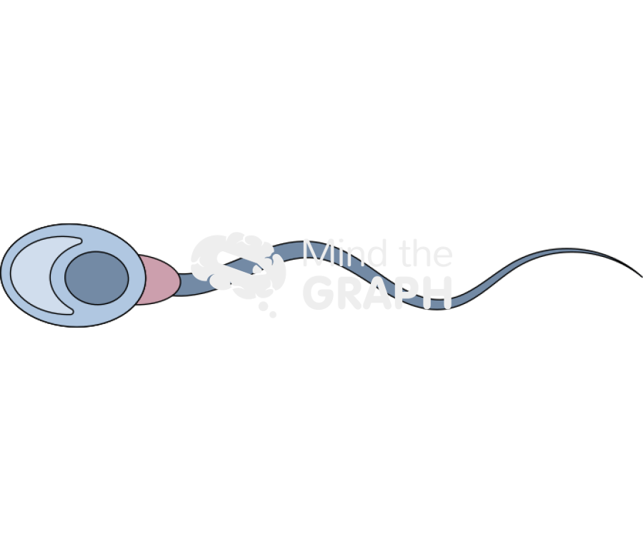 Spermatozoon 2 Icons, Symbols, Pictures, and Images