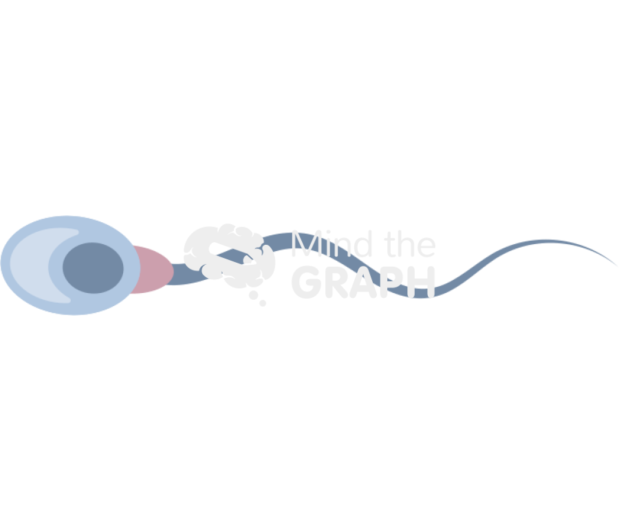 Spermatozoon 2 Icons, Symbols, Pictures, and Images