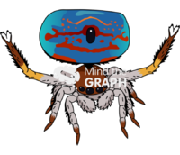 Spider maratus 1 - Edit and Customize Icons of Spider maratus 1 Spider maratus 1 Icons, Symbols, Pictures, and Images