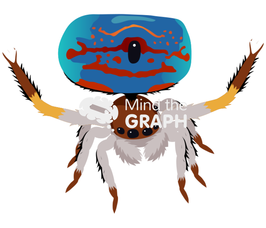 Spider maratus 1 Icons, Symbols, Pictures, and Images