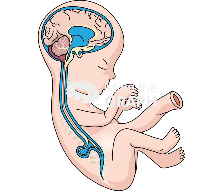 Spina bifida patch Icons, Symbols, Pictures, and Images