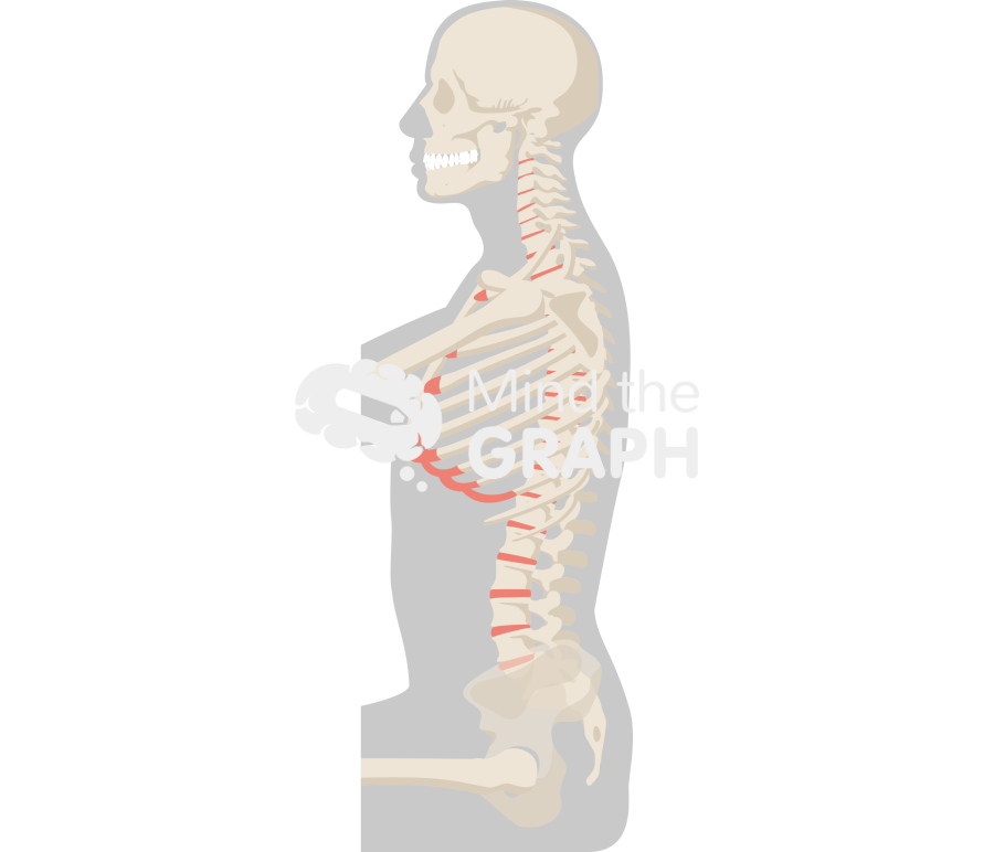 Spinopelvic tilt normal body mass index sitting Icons, Symbols, Pictures, and Images