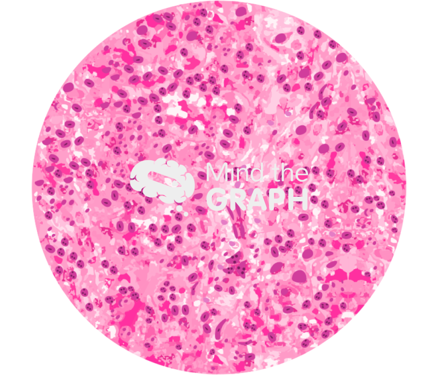 Spleen histology x540 zoom Icons, Symbols, Pictures, and Images