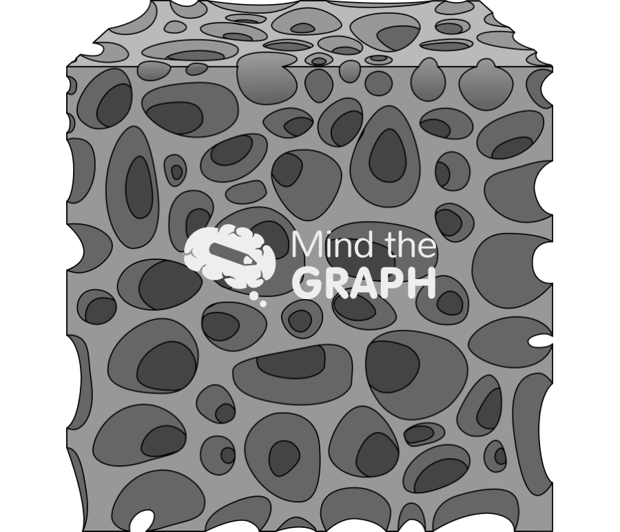 Spongious scaffold Icons, Symbols, Pictures, and Images