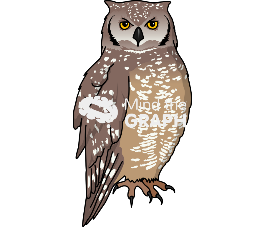 Spotted eagle owl Icons, Symbols, Pictures, and Images