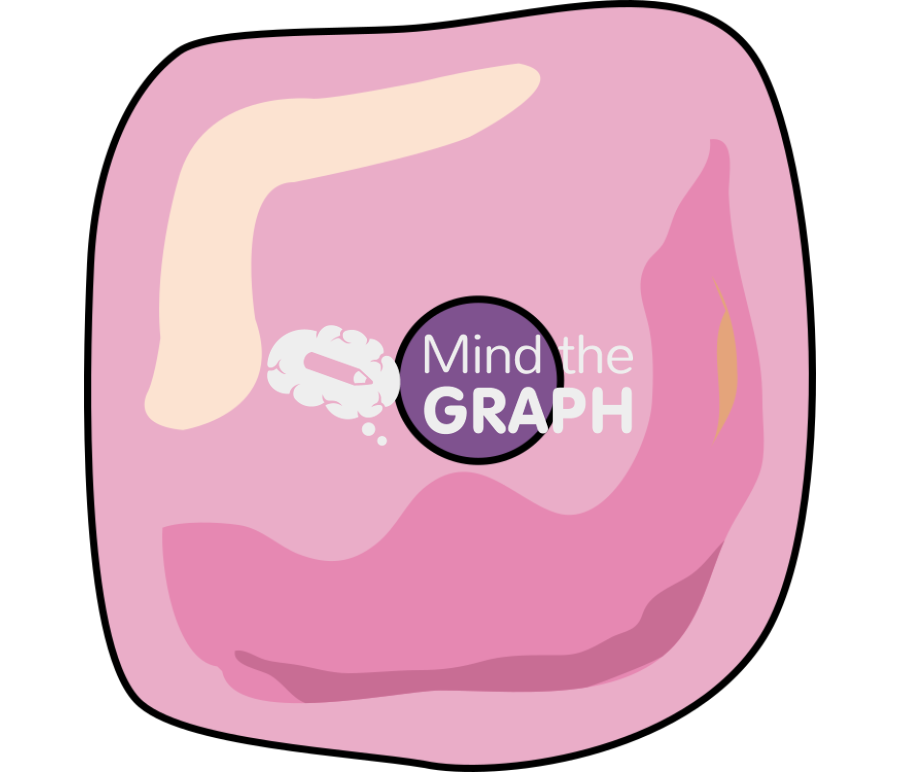 Square keratinocyte cell Icons, Symbols, Pictures, and Images