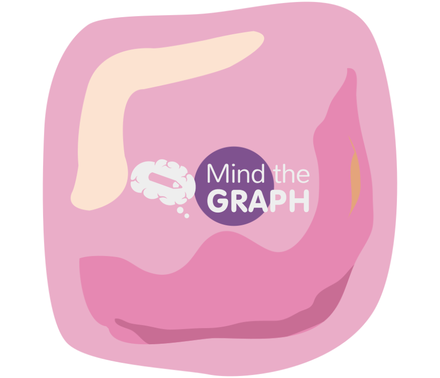 Square keratinocyte cell Icons, Symbols, Pictures, and Images