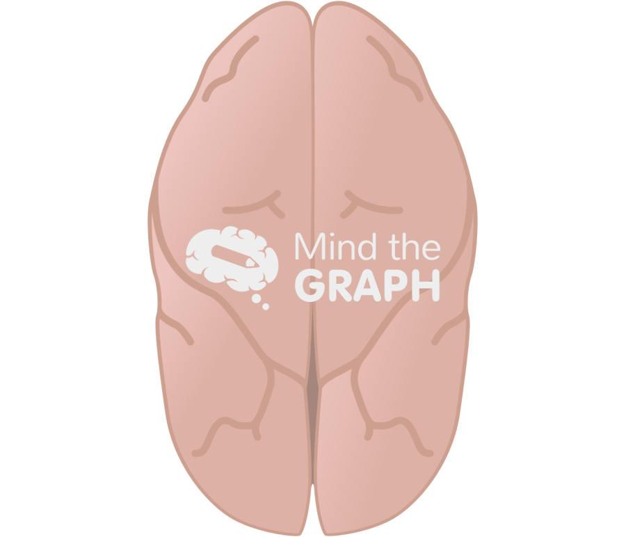 Squirrel monkey brain top Icons, Symbols, Pictures, and Images